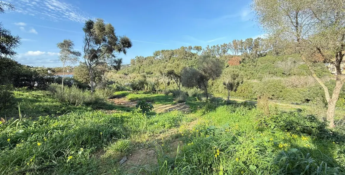 Venta de parcela residencial en Sotogrande 8