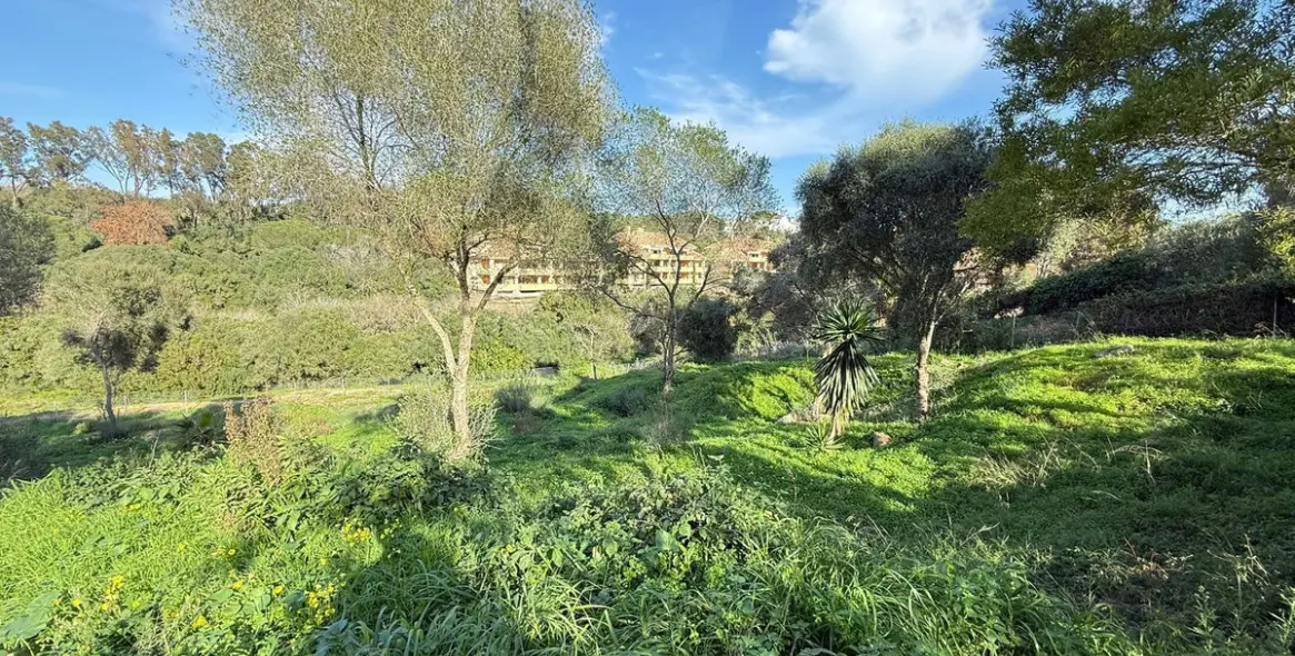 Venta de parcela residencial en Sotogrande 9