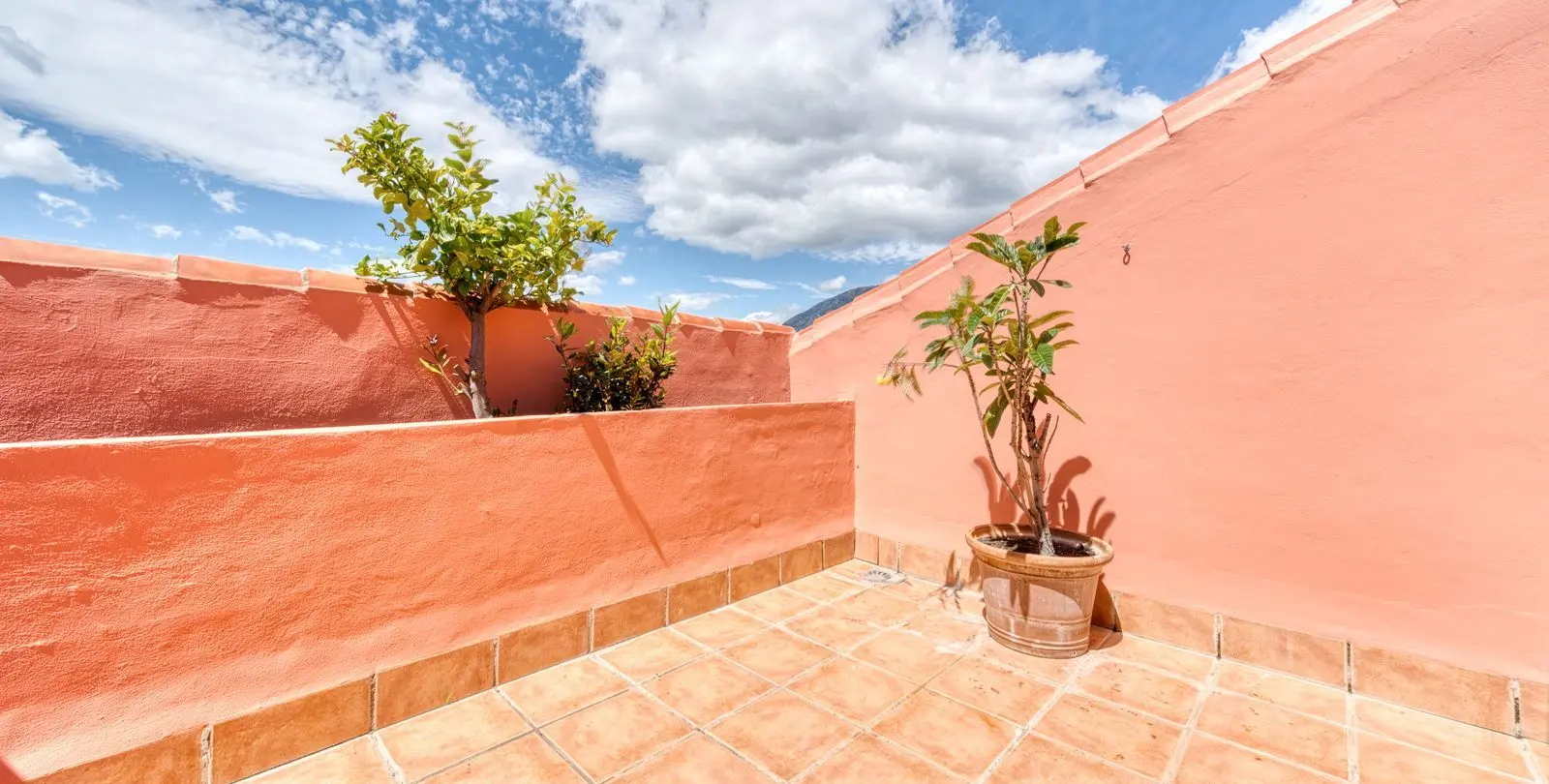 Sale of penthouse in Torreblanca 2