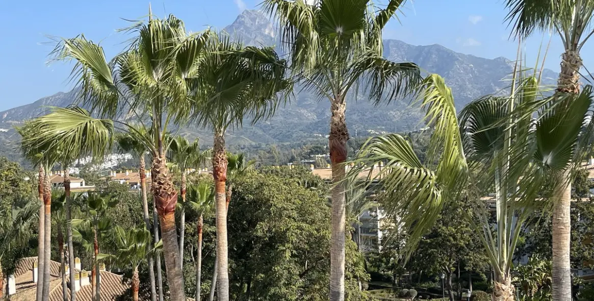 Sale of penthouse in Nueva Andalucía 2