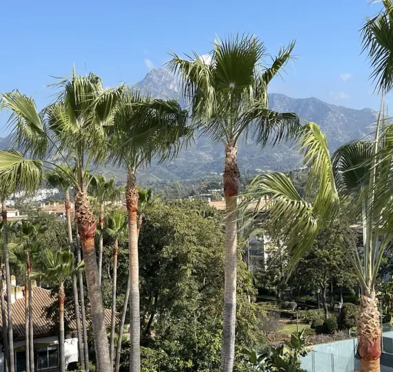Sale of penthouse in Nueva Andalucía