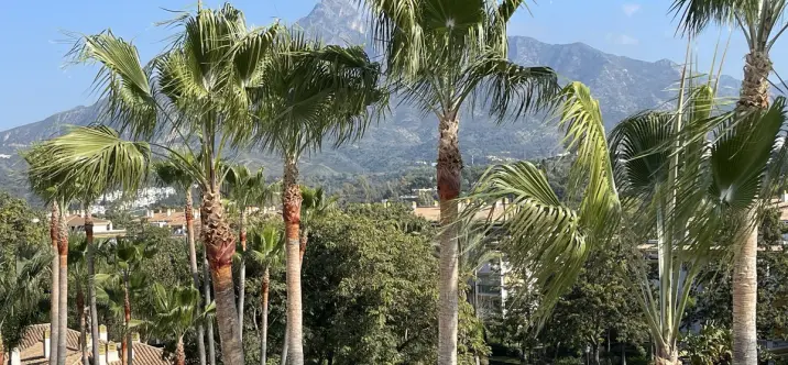 Sale of penthouse in Nueva Andalucía 1