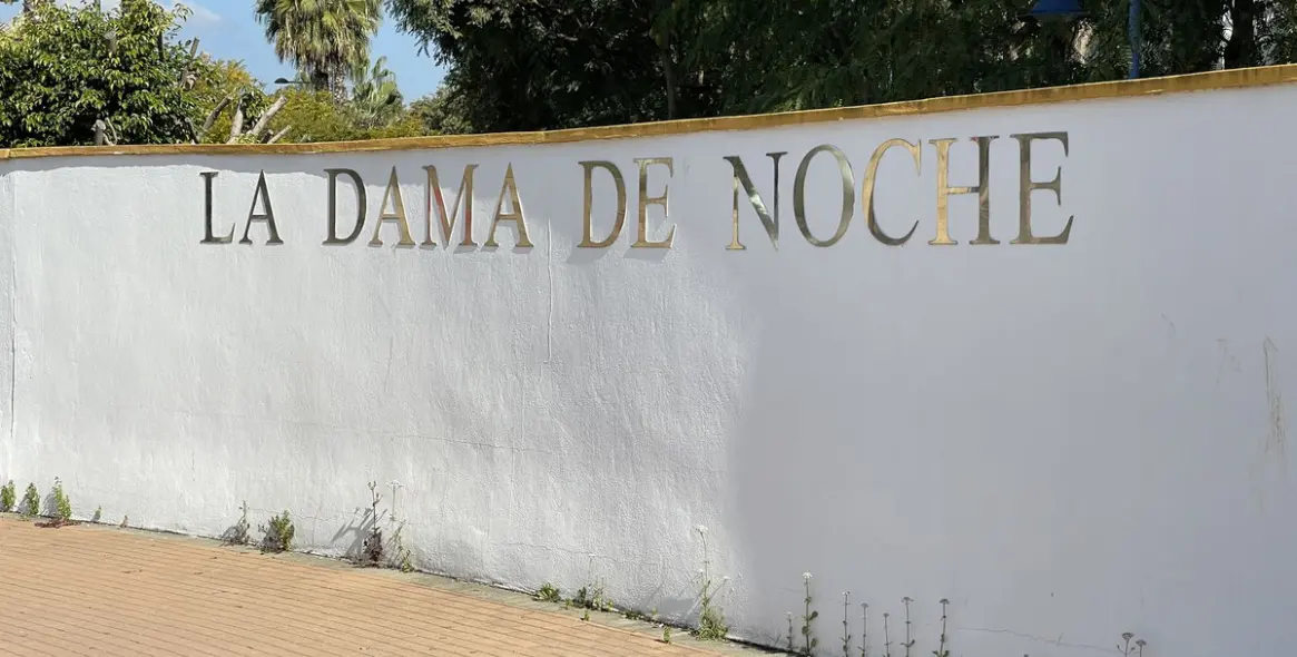 Sale of penthouse in Nueva Andalucía 26