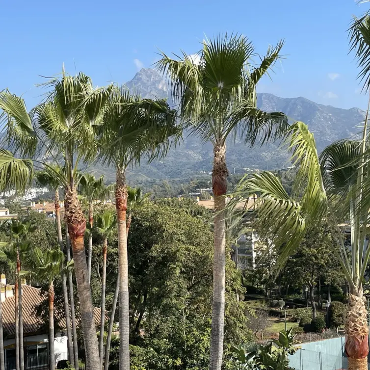 Sale of penthouse in Nueva Andalucía