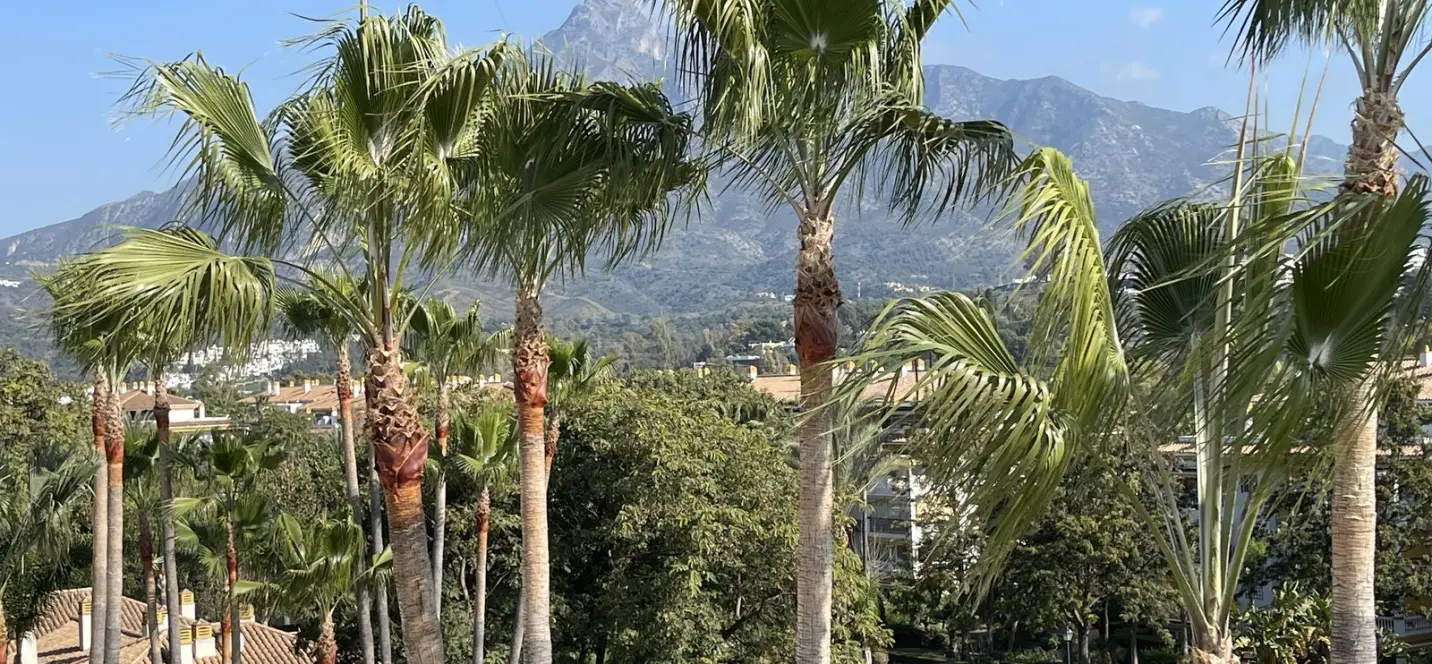 Sale of penthouse in Nueva Andalucía 1
