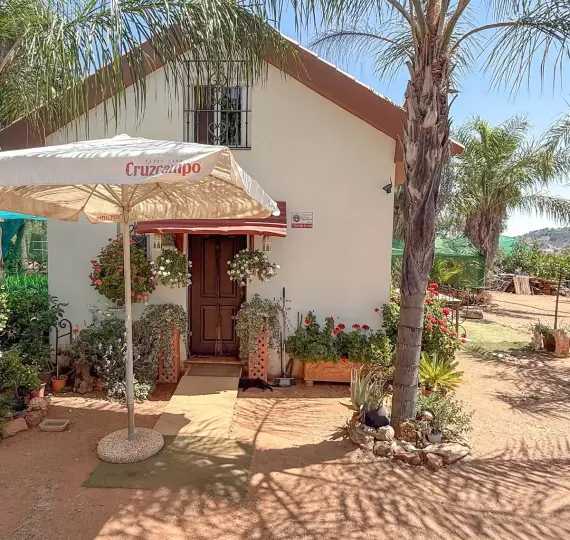 Продажа фермы в Monda