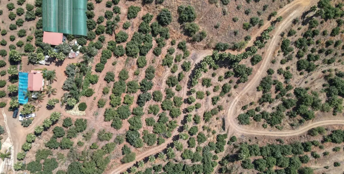 Sale of farm in Monda 2