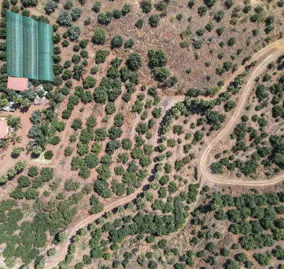 Продажа фермы в Monda