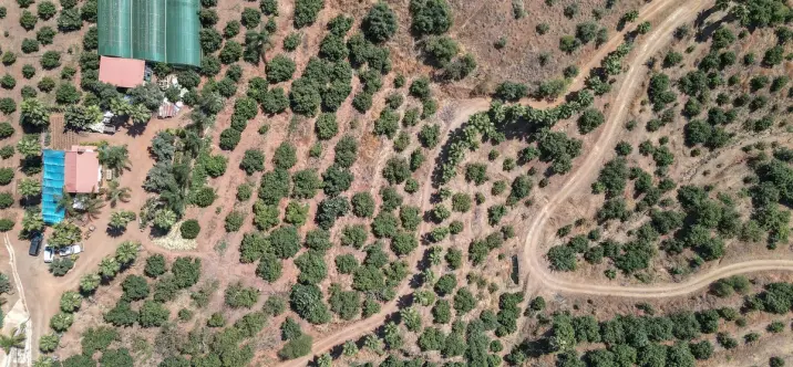 Продажа фермы в Monda 1