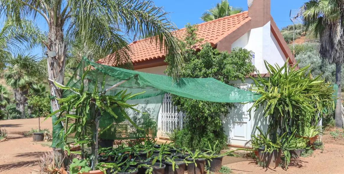 Sale of farm in Monda 7