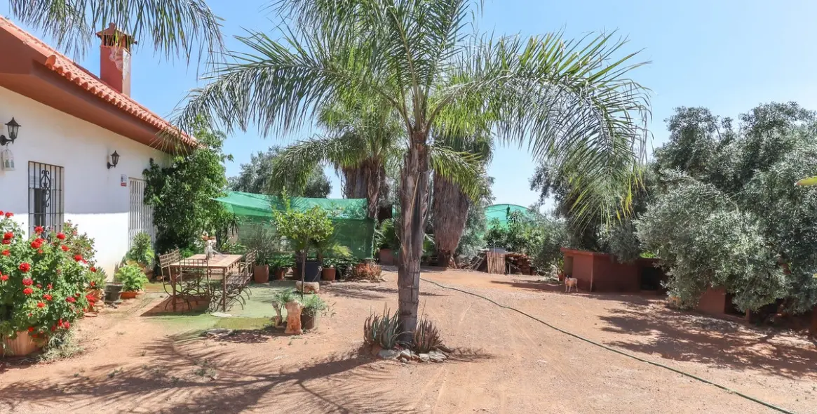 Sale of farm in Monda 18