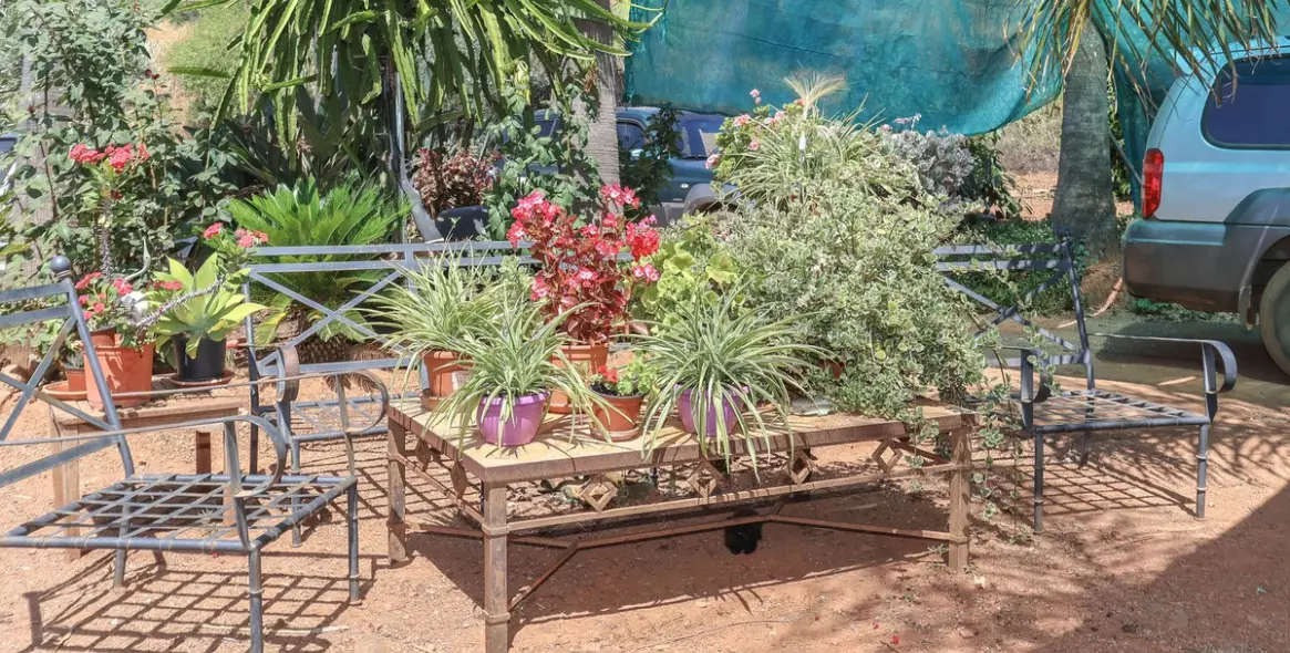 Sale of farm in Monda 20