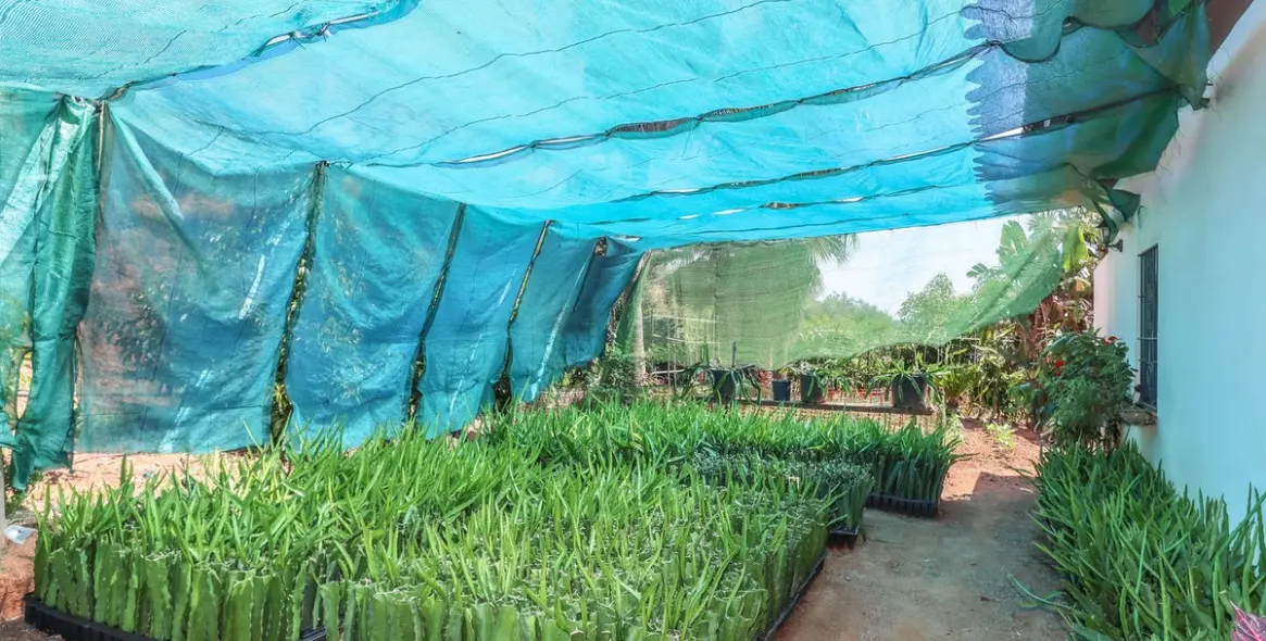 Sale of farm in Monda 25