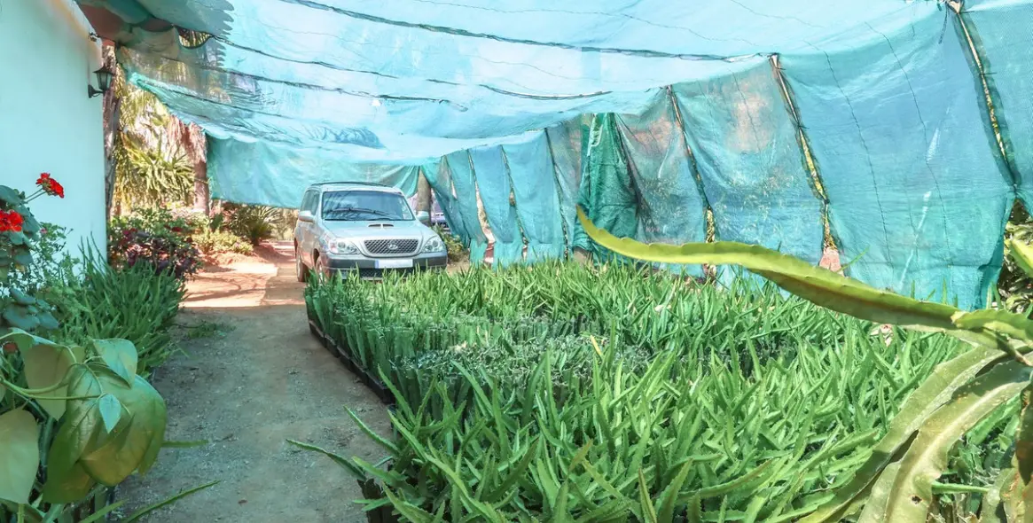 Sale of farm in Monda 26