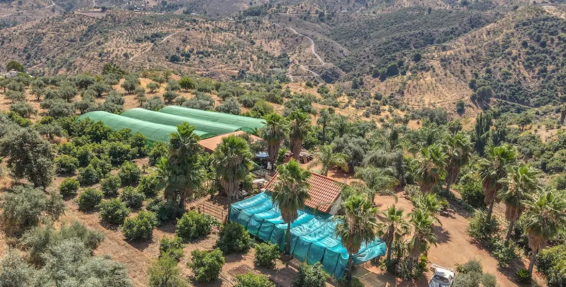 Sale of farm in Monda 28