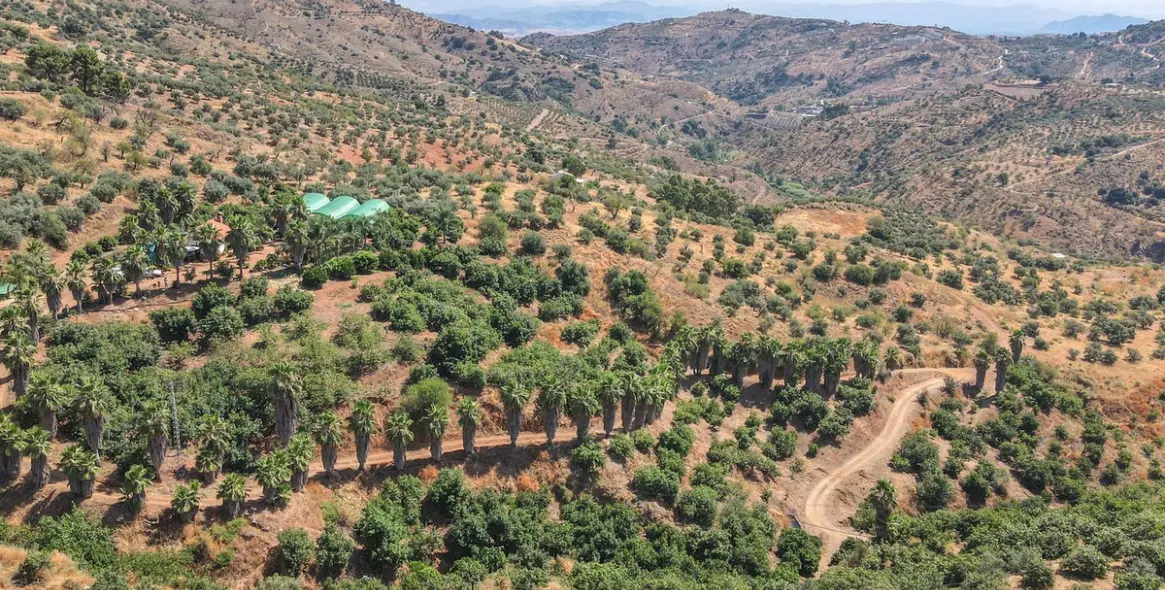 Sale of farm in Monda 29