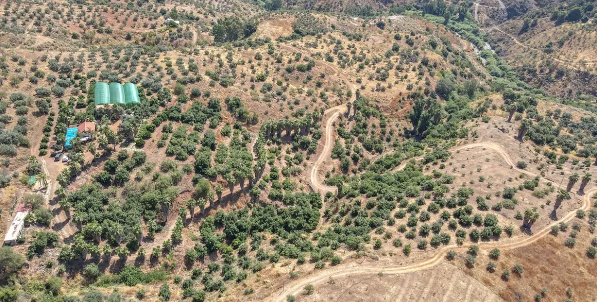 Sale of farm in Monda 30