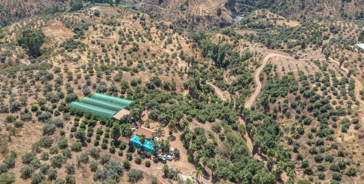 Sale of farm in Monda 31