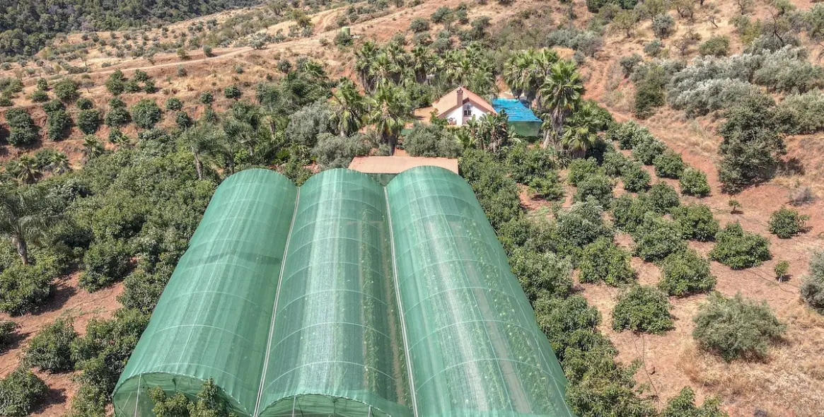 Sale of farm in Monda 32