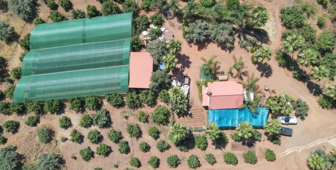 Sale of farm in Monda 33