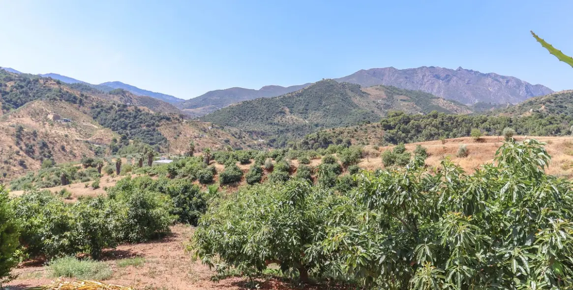 Sale of farm in Monda 39