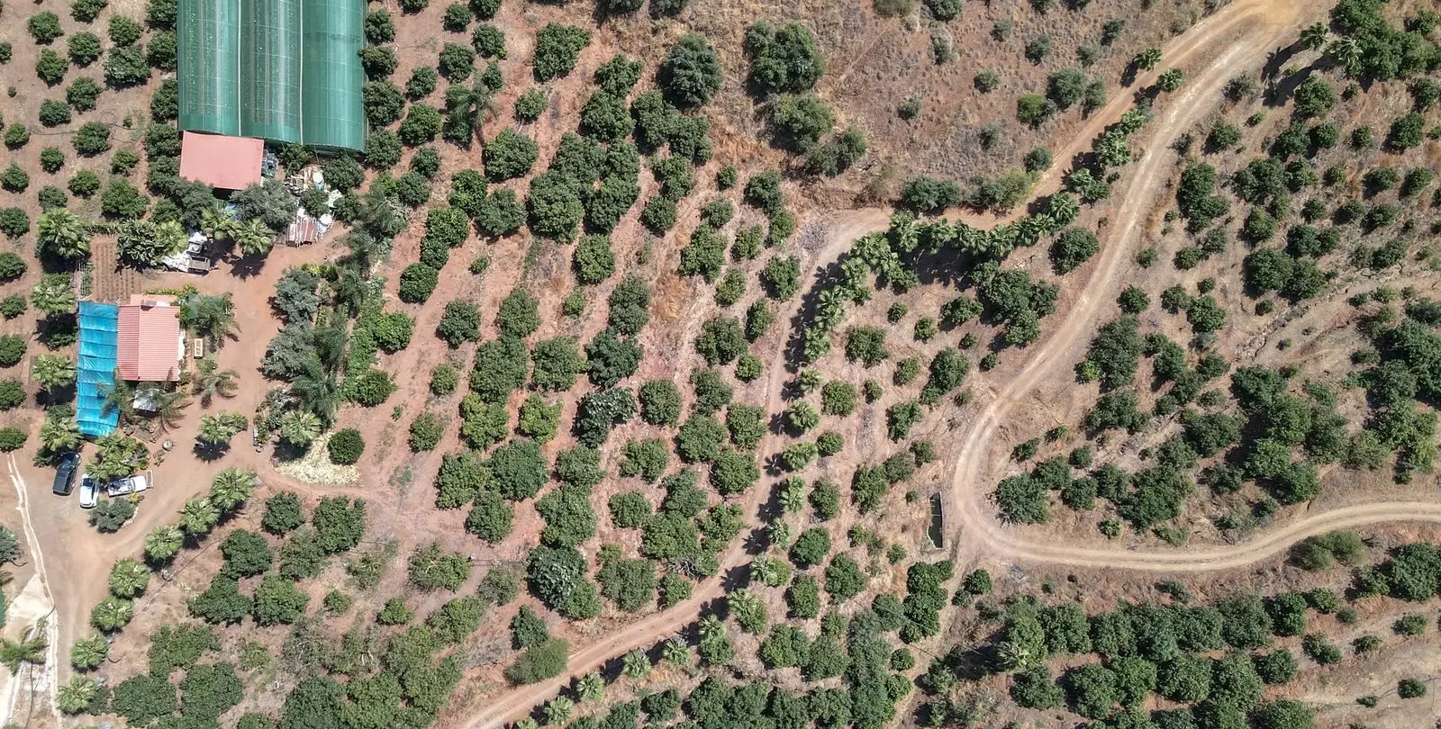 Sale of farm in Monda 2