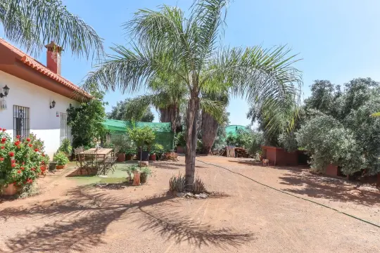 Image 18 thumb