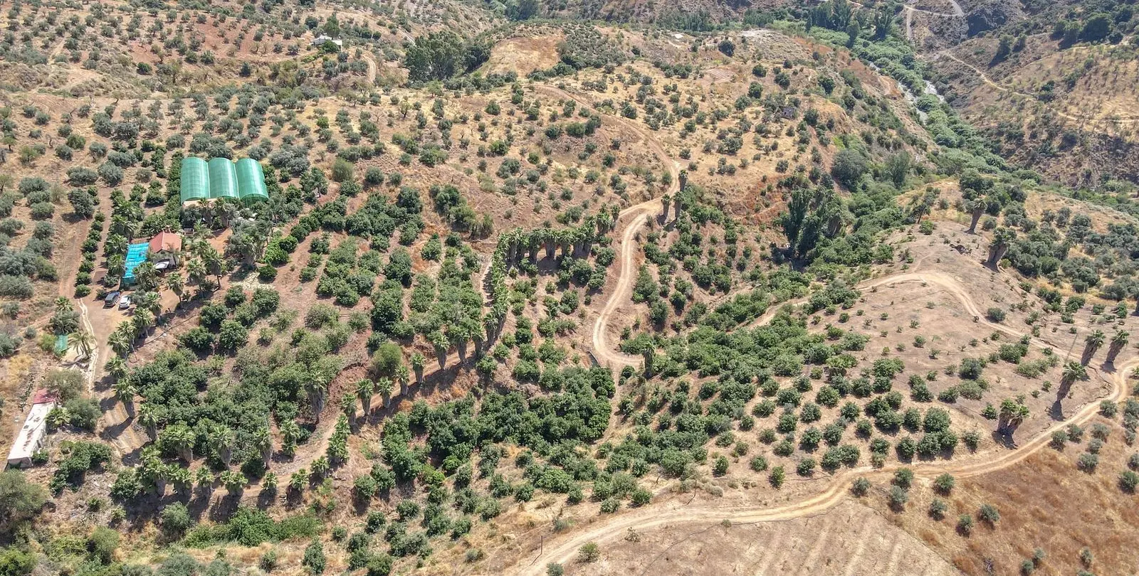 Sale of farm in Monda 30