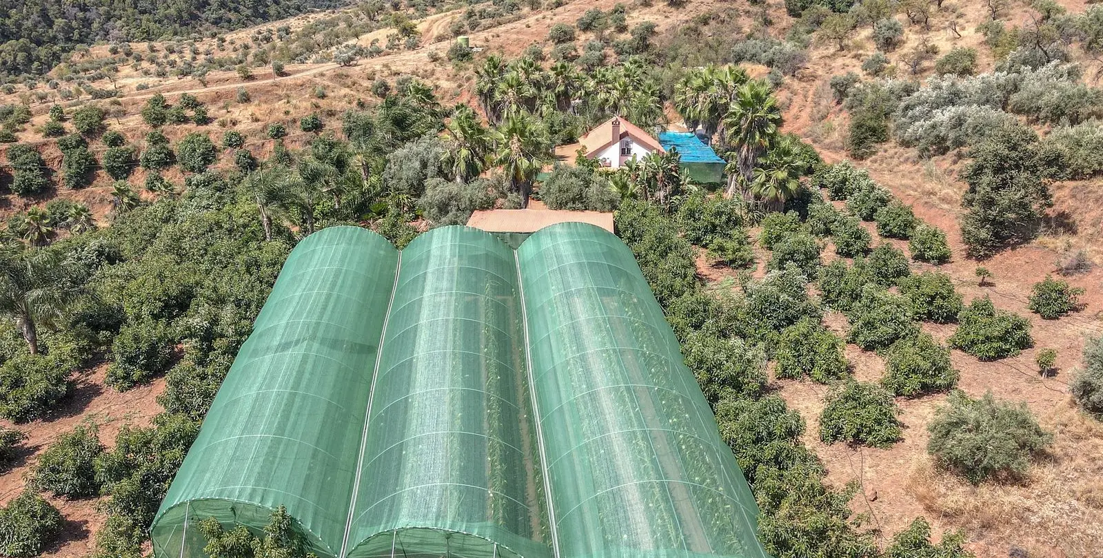 Sale of farm in Monda 32