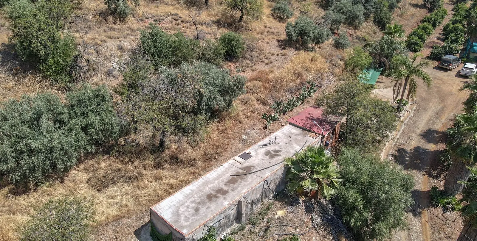 Sale of farm in Monda 35