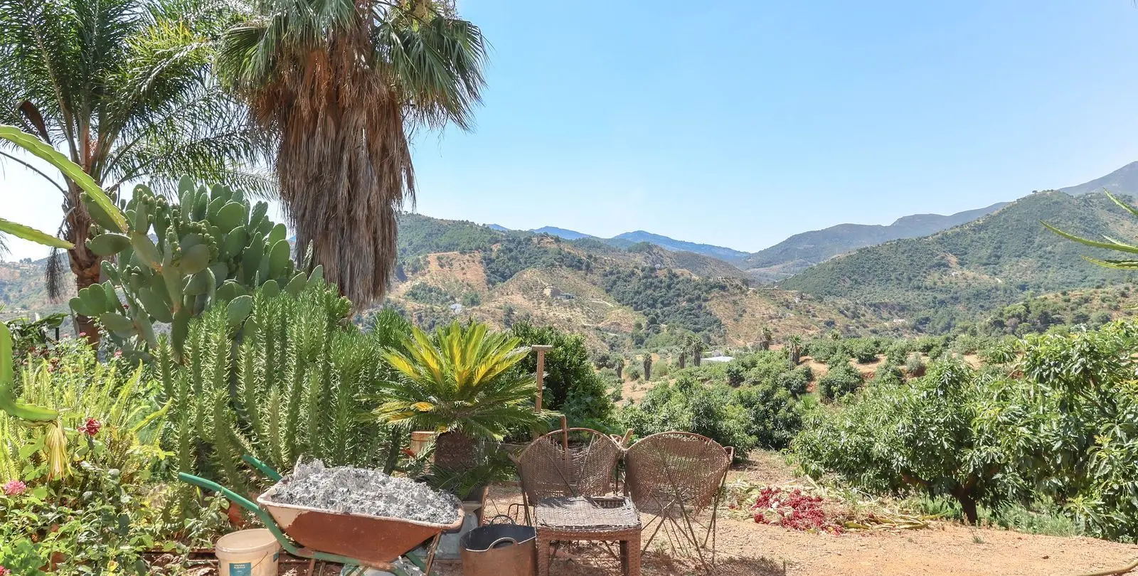 Sale of farm in Monda 38