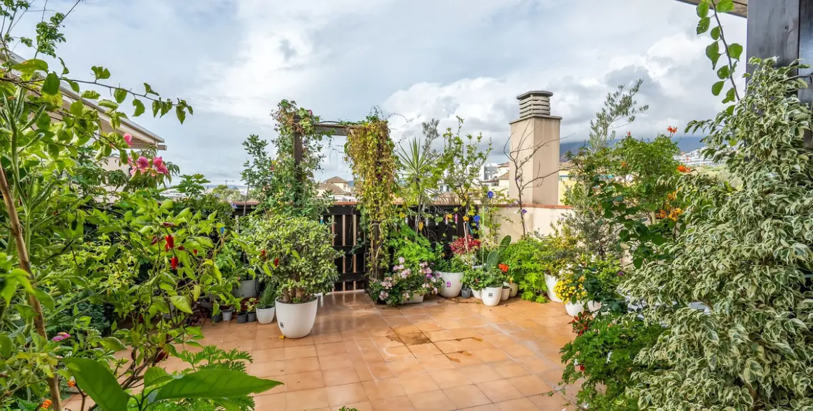 Sale of penthouse in Estepona 1