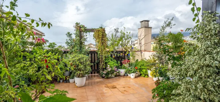 Sale of penthouse in Estepona 0