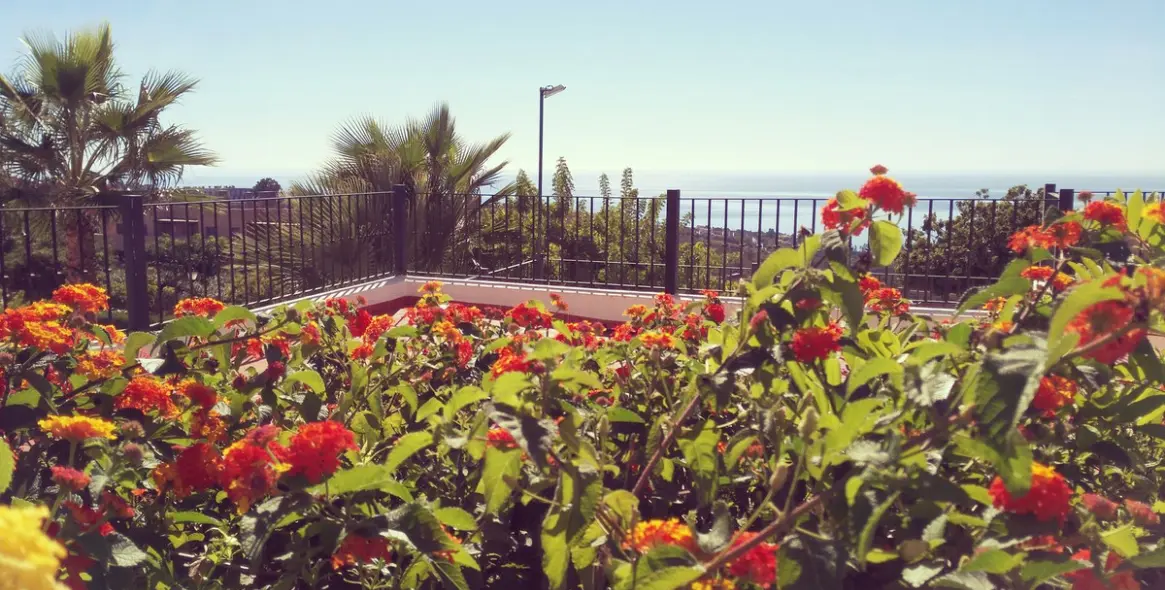 Продажа таунхауса в Manilva 48