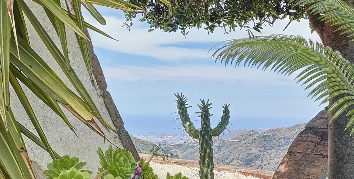 Sale of detached villa in Sayalonga 1