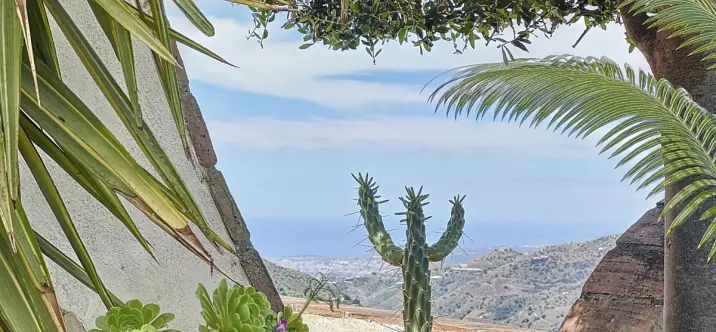 Sale of detached villa in Sayalonga 0