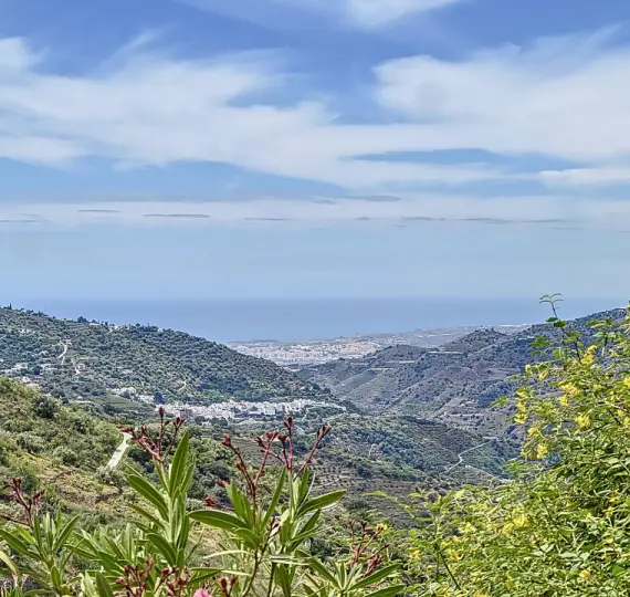 Sale of detached villa in Sayalonga