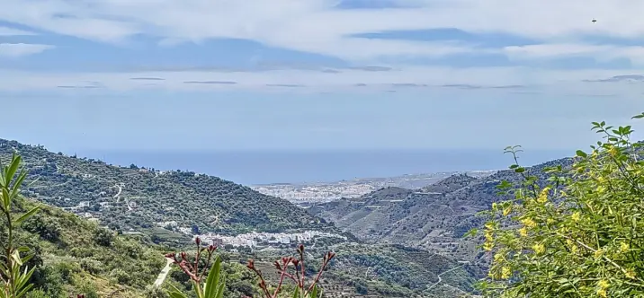 Sale of detached villa in Sayalonga 2