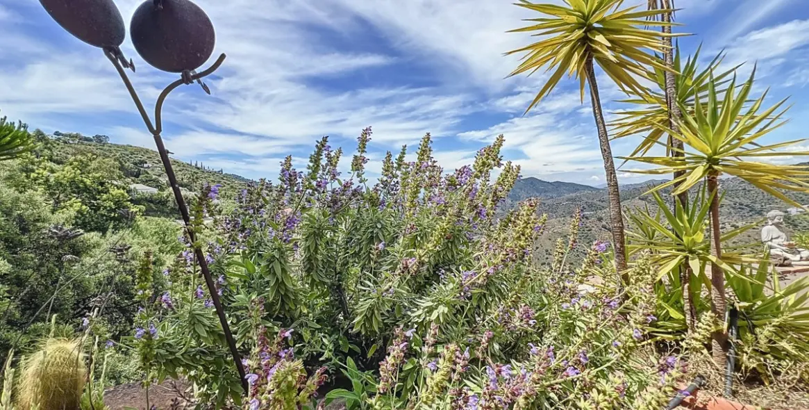 Sale of detached villa in Sayalonga 8