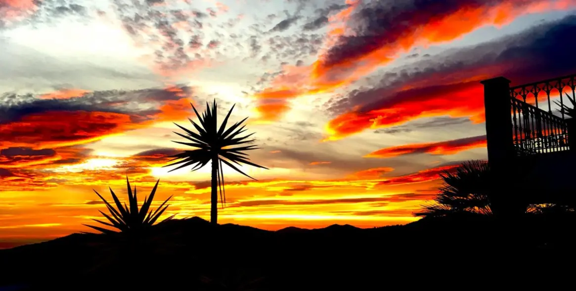 Sale of detached villa in Sayalonga 28