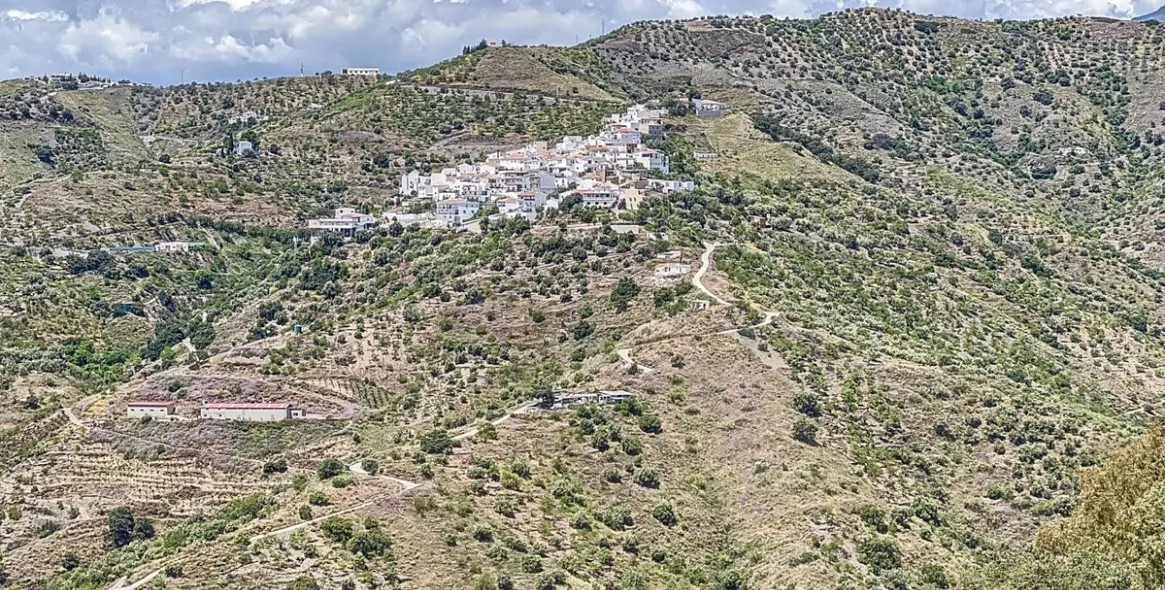 Sale of detached villa in Sayalonga 49