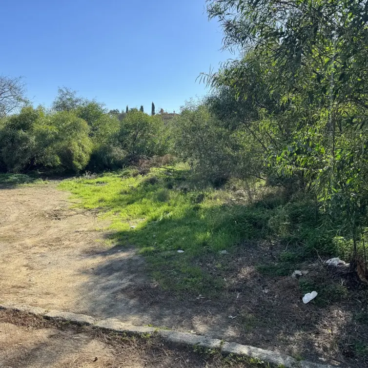 Sale of residential plot in Elviria