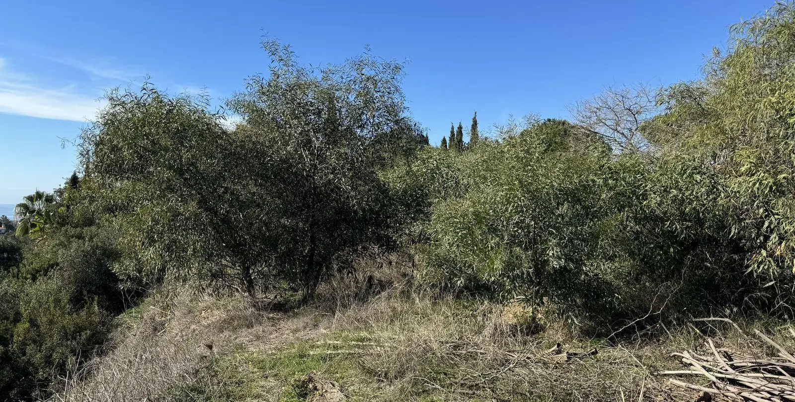 Sale of residential plot in Elviria 6