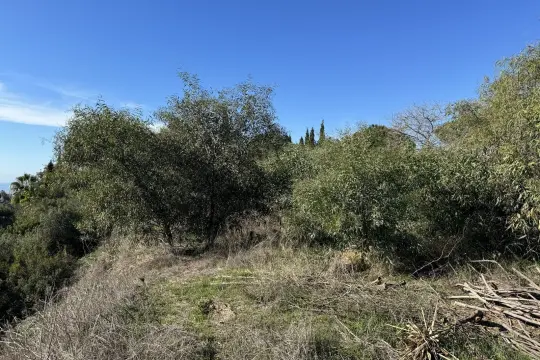 Image 6 thumb