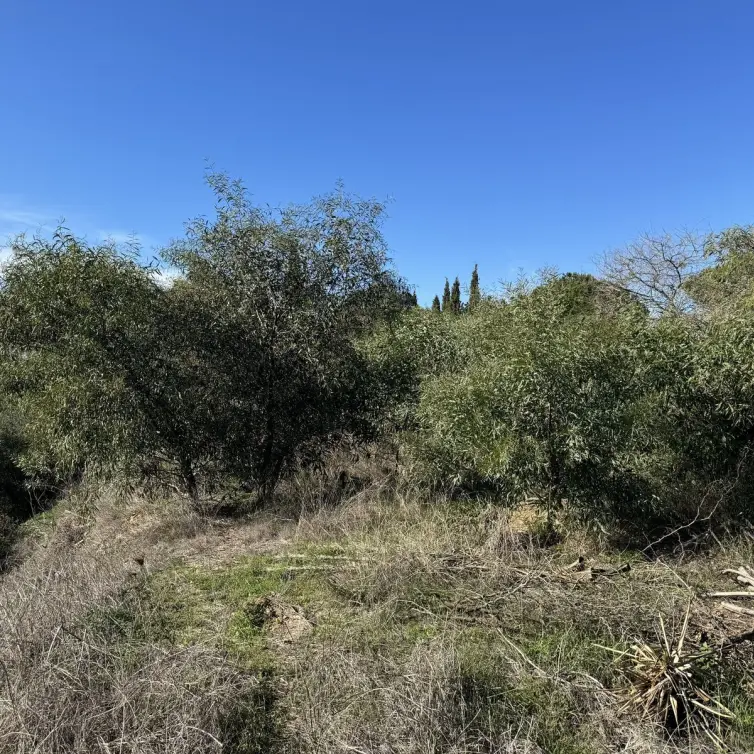 Sale of residential plot in Elviria