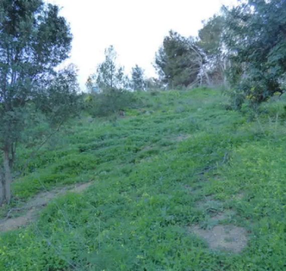 Продажа  жилого участка в Benalmadena Pueblo