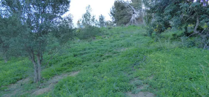 Продажа  жилого участка в Benalmadena Pueblo 3