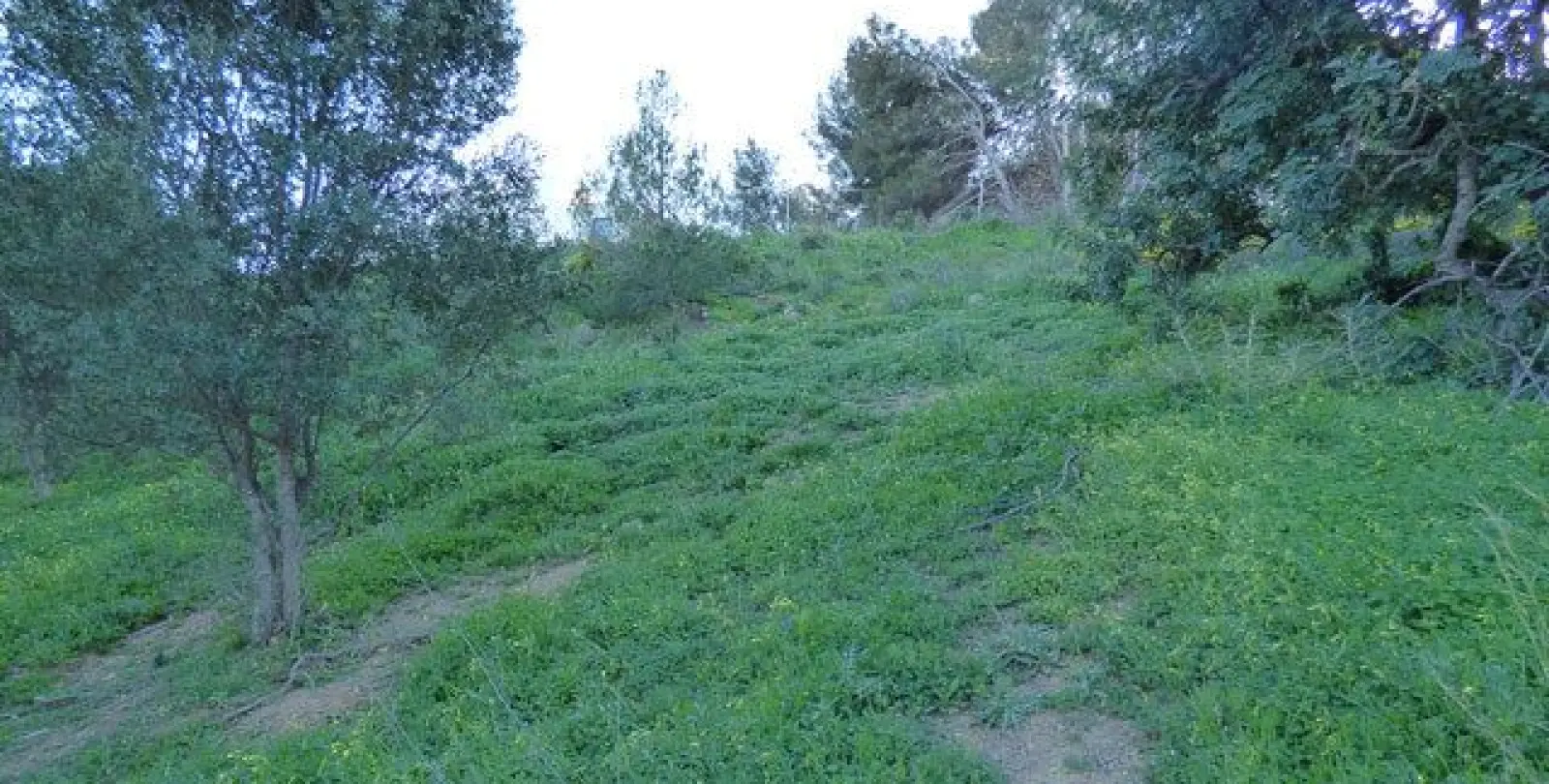 Venta de parcela residencial en Benalmadena Pueblo 4