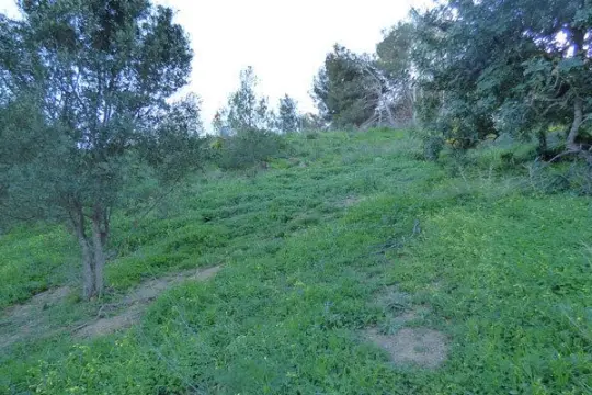 Image 4 thumb