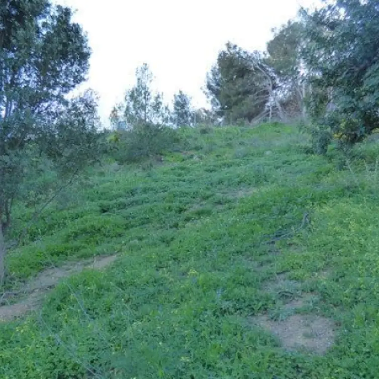 Продажа  жилого участка в Benalmadena Pueblo